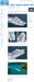 200901SuperyachtTimescomRS1